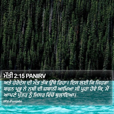 ਮੱਤੀ 2:15 PANIRV Bible Verse Image