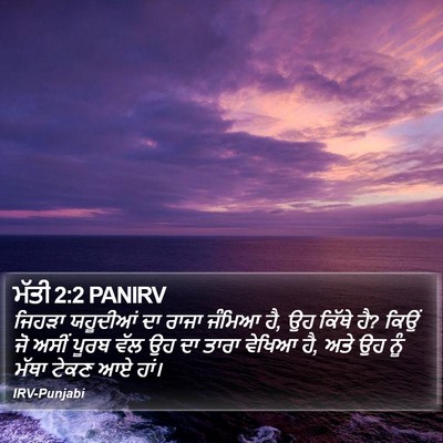 ਮੱਤੀ 2:2 PANIRV Bible Verse Image