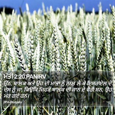 ਮੱਤੀ 2:20 PANIRV Bible Verse Image