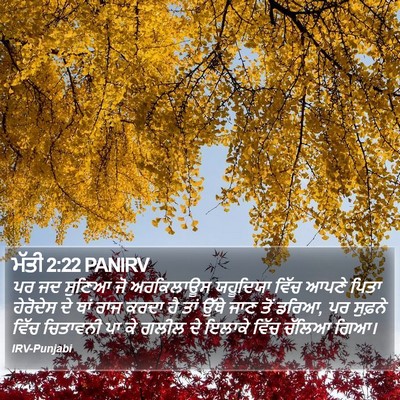 ਮੱਤੀ 2:22 PANIRV Bible Verse Image