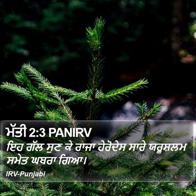 ਮੱਤੀ 2:3 PANIRV Bible Verse Image