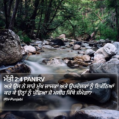 ਮੱਤੀ 2:4 PANIRV Bible Verse Image