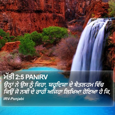 ਮੱਤੀ 2:5 PANIRV Bible Verse Image
