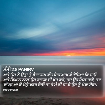 ਮੱਤੀ 2:8 PANIRV Bible Verse Image