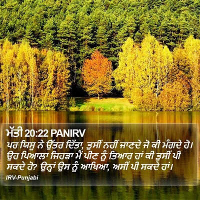 ਮੱਤੀ 20:22 PANIRV Bible Verse Image