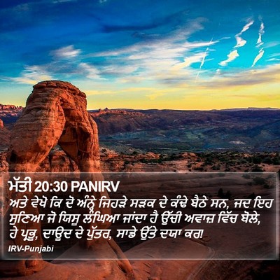 ਮੱਤੀ 20:30 PANIRV Bible Verse Image