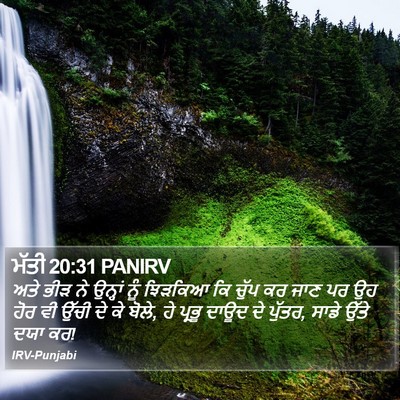 ਮੱਤੀ 20:31 PANIRV Bible Verse Image