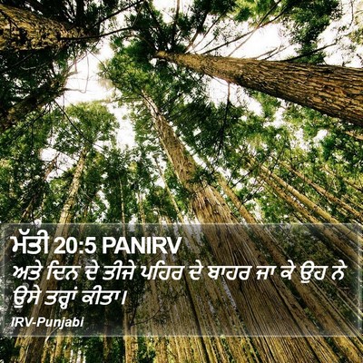 ਮੱਤੀ 20:5 PANIRV Bible Verse Image