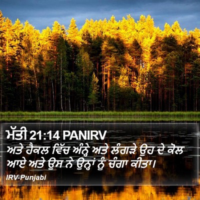 ਮੱਤੀ 21:14 PANIRV Bible Verse Image