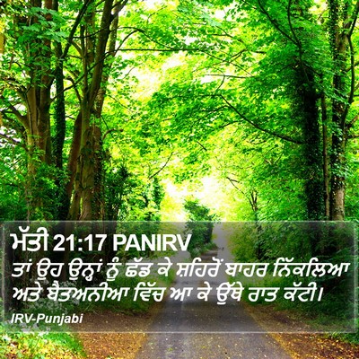 ਮੱਤੀ 21:17 PANIRV Bible Verse Image