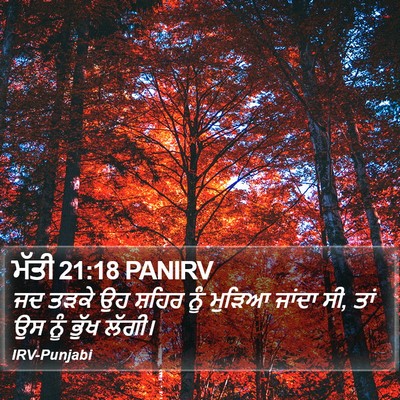 ਮੱਤੀ 21:18 PANIRV Bible Verse Image
