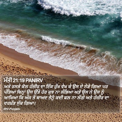 ਮੱਤੀ 21:19 PANIRV Bible Verse Image