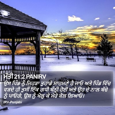 ਮੱਤੀ 21:2 PANIRV Bible Verse Image