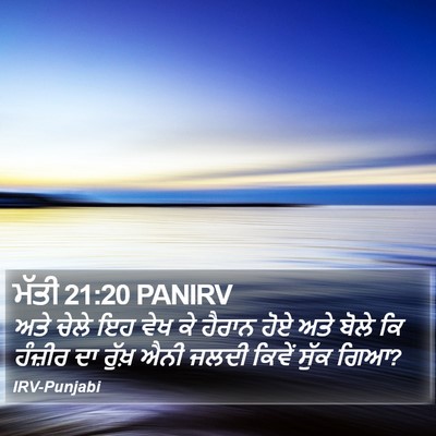 ਮੱਤੀ 21:20 PANIRV Bible Verse Image
