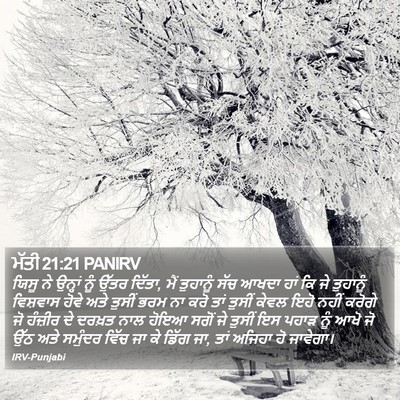 ਮੱਤੀ 21:21 PANIRV Bible Verse Image