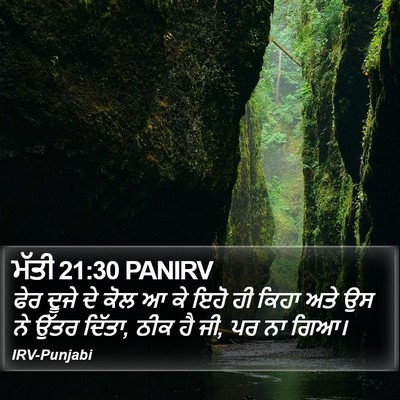 ਮੱਤੀ 21:30 PANIRV Bible Verse Image