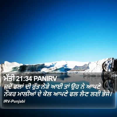 ਮੱਤੀ 21:34 PANIRV Bible Verse Image