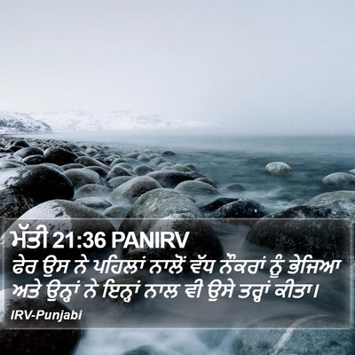 ਮੱਤੀ 21:36 PANIRV Bible Verse Image