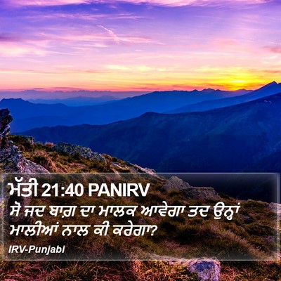ਮੱਤੀ 21:40 PANIRV Bible Verse Image