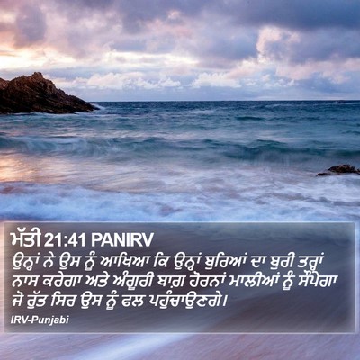 ਮੱਤੀ 21:41 PANIRV Bible Verse Image