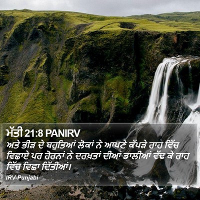 ਮੱਤੀ 21:8 PANIRV Bible Verse Image