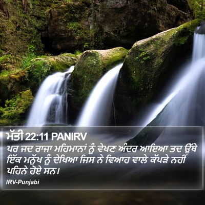 ਮੱਤੀ 22:11 PANIRV Bible Verse Image