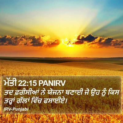 ਮੱਤੀ 22:15 PANIRV Bible Verse Image