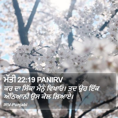 ਮੱਤੀ 22:19 PANIRV Bible Verse Image