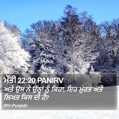 ਮੱਤੀ 22:20 PANIRV Bible Verse Image