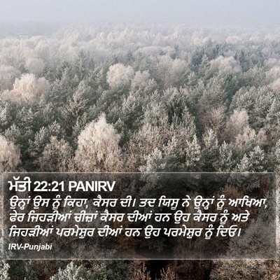 ਮੱਤੀ 22:21 PANIRV Bible Verse Image