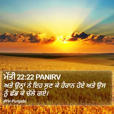 ਮੱਤੀ 22:22 PANIRV Bible Verse Image