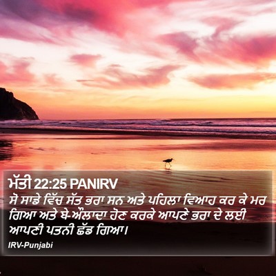 ਮੱਤੀ 22:25 PANIRV Bible Verse Image