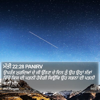 ਮੱਤੀ 22:28 PANIRV Bible Verse Image