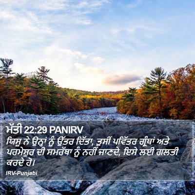 ਮੱਤੀ 22:29 PANIRV Bible Verse Image