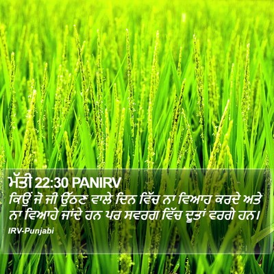 ਮੱਤੀ 22:30 PANIRV Bible Verse Image