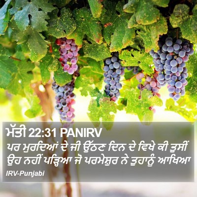 ਮੱਤੀ 22:31 PANIRV Bible Verse Image