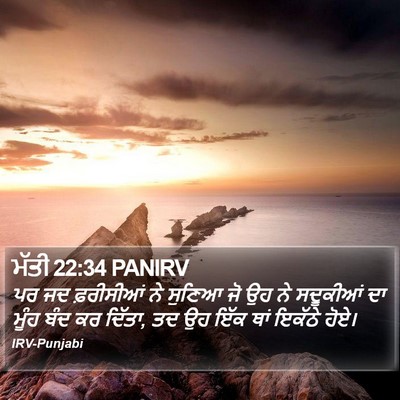 ਮੱਤੀ 22:34 PANIRV Bible Verse Image