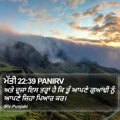 ਮੱਤੀ 22:39 PANIRV Bible Verse Image