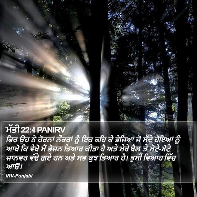 ਮੱਤੀ 22:4 PANIRV Bible Verse Image