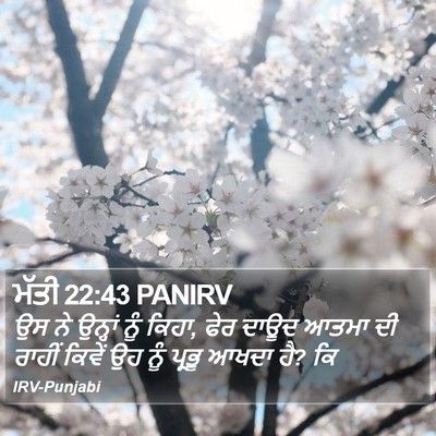 ਮੱਤੀ 22:43 PANIRV Bible Verse Image