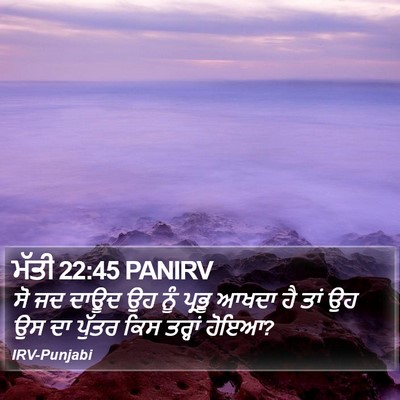 ਮੱਤੀ 22:45 PANIRV Bible Verse Image