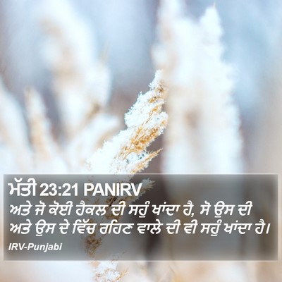 ਮੱਤੀ 23:21 PANIRV Bible Verse Image