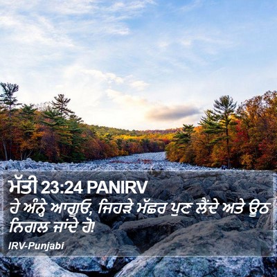 ਮੱਤੀ 23:24 PANIRV Bible Verse Image