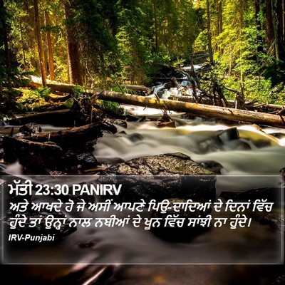 ਮੱਤੀ 23:30 PANIRV Bible Verse Image