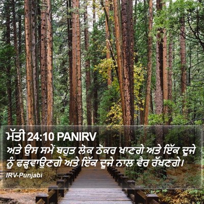 ਮੱਤੀ 24:10 PANIRV Bible Verse Image
