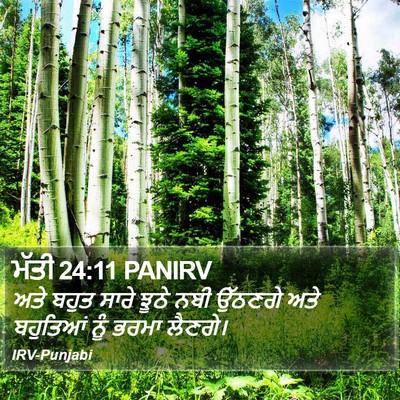 ਮੱਤੀ 24:11 PANIRV Bible Verse Image