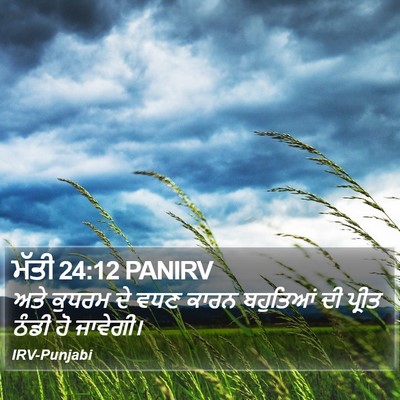 ਮੱਤੀ 24:12 PANIRV Bible Verse Image