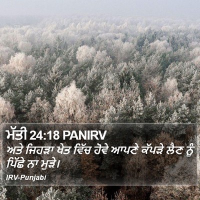 ਮੱਤੀ 24:18 PANIRV Bible Verse Image