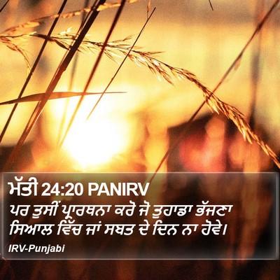 ਮੱਤੀ 24:20 PANIRV Bible Verse Image