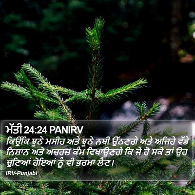 ਮੱਤੀ 24:24 PANIRV Bible Verse Image
